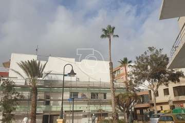 Poda y limpieza de las palmeras de Salinetas y Clavellinas/TA.